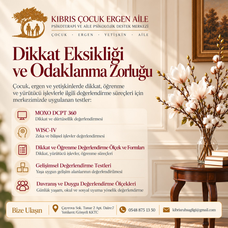 Dikkat Eksikliği ve Odaklanma G&uuml;&ccedil;l&uuml;ğ&uuml;